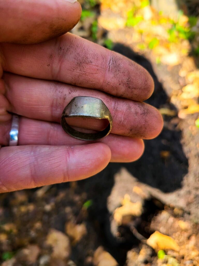 481941768 1345341850293246 9103337808105581794 n